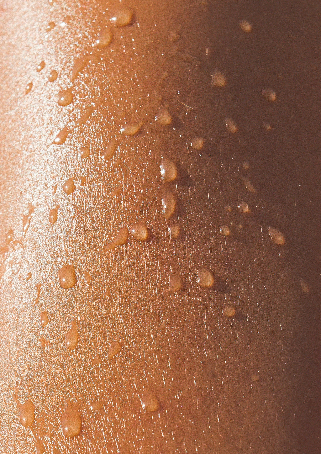 Coastal Bloom 100 ml Eau de Toilette