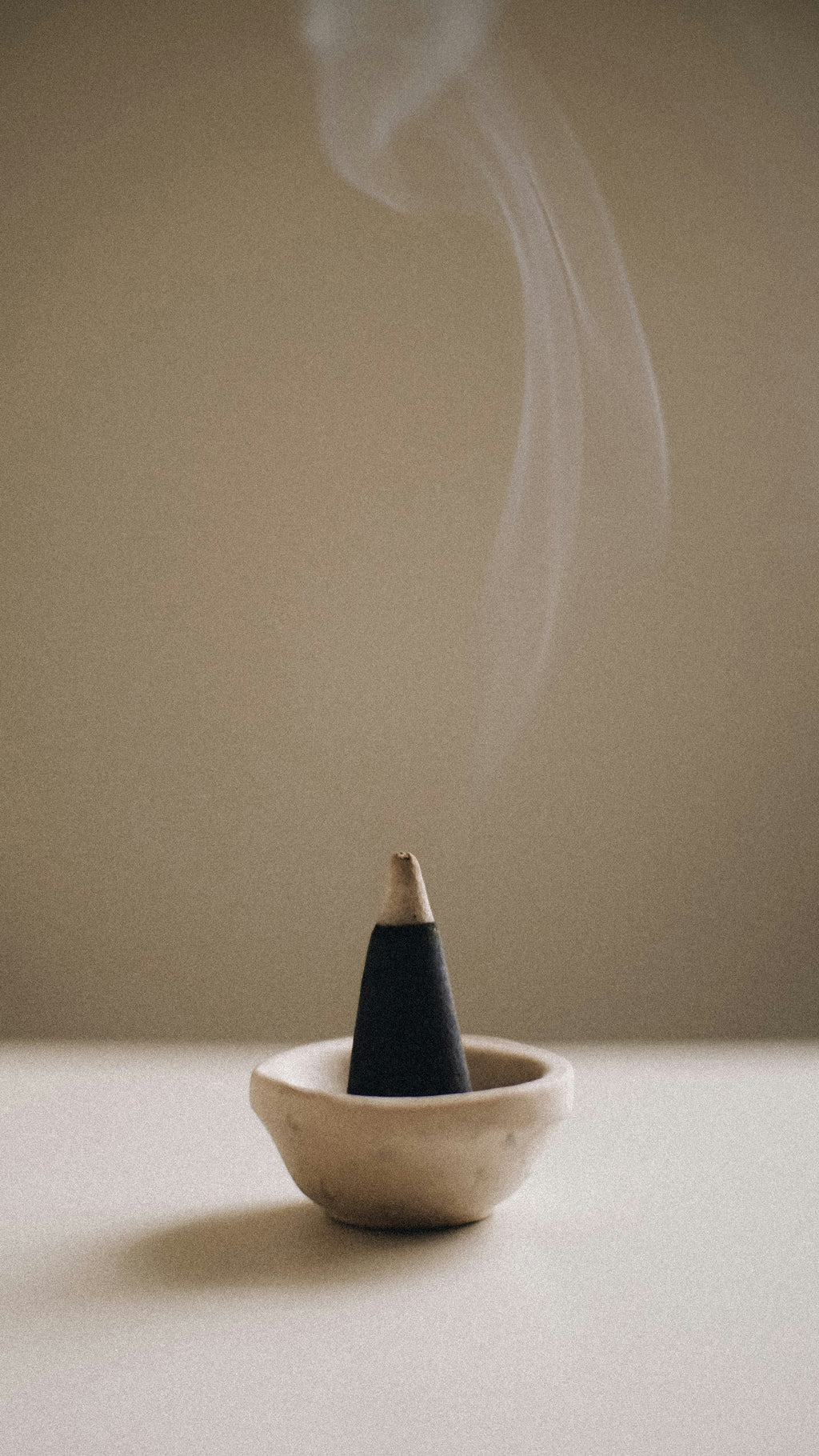 Saddle & Cardamom 12 oz scented candle
